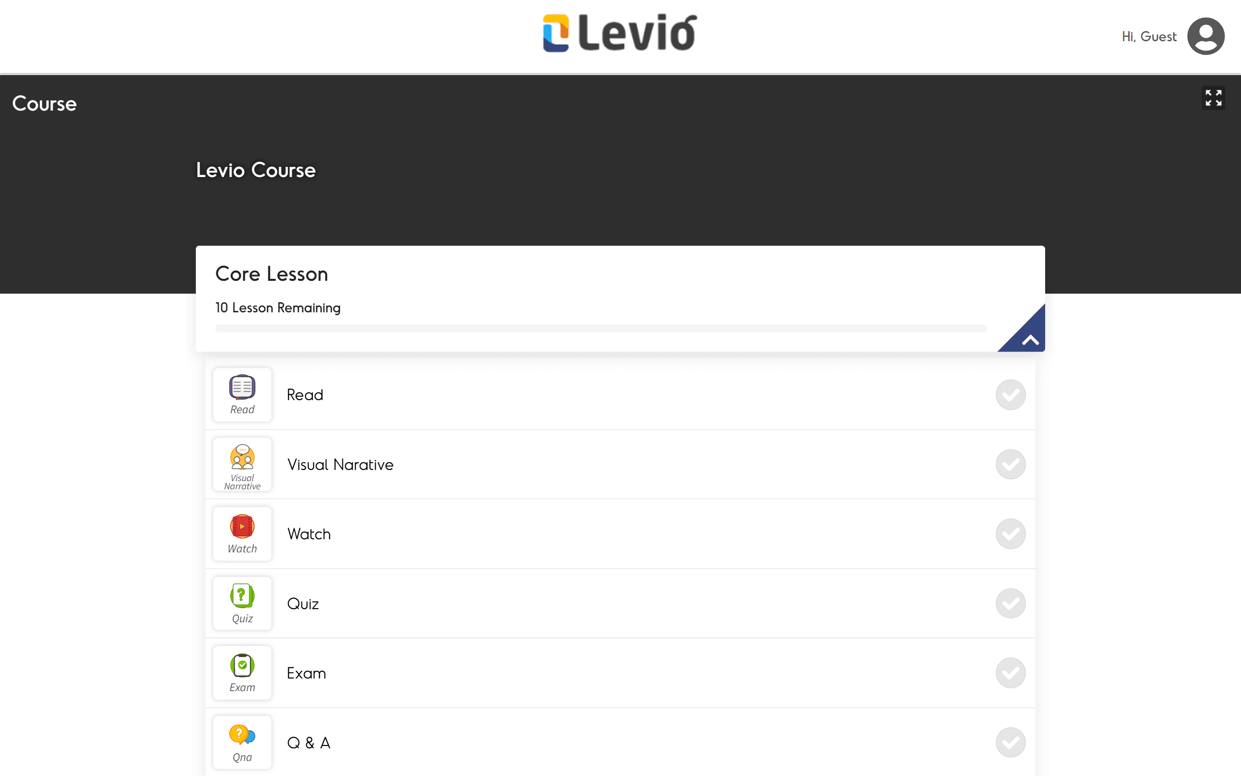 Levio Course preview